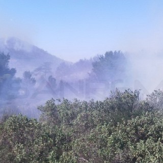 Incendio nel parco pubblico del Ciapà a Cervo: i ringraziamenti dell'Amministrazione ai soccorritori Incendio nel parco pubblico del Ciapà a Cervo: i ringraziamenti dell'Amministrazione ai soccorritori