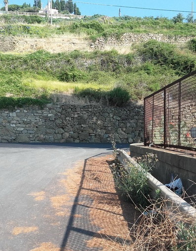 Sanremo: manca la segnaletica in un incrocio dell'Aurelia in zona depuratore, la preoccupazione di un lettore Sanremo: manca la segnaletica in un incrocio dell'Aurelia in zona depuratore, la preoccupazione di un lettore