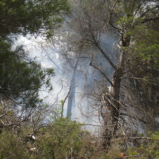 Le prime foto dal luogo dell'incendio