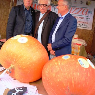 Salviamo la Zucca di Rocchetta Salviamo la Zucca di Rocchetta