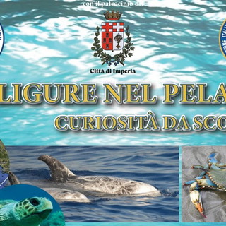Imperia: sabato prossimo al Museo del Mare un incontro sul mare e sul Santuario dei Cetacei