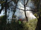 Incendi boschivi. stato di grave pericolosità ancora attivo nella provincia di Imperia