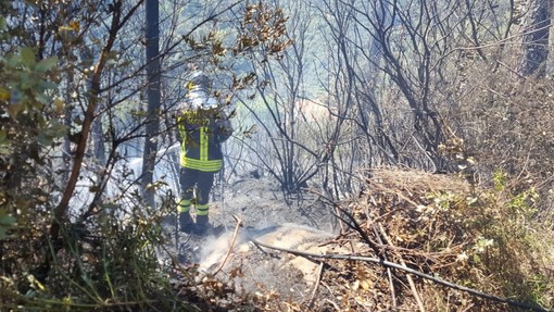 Vasto incendio boschivo tra Cipressa e Lingueglietta: fiamme vicino alle case e al cimitero di Costarainera Vasto incendio boschivo tra Cipressa e Lingueglietta: fiamme vicino alle case e al cimitero di Costarainera