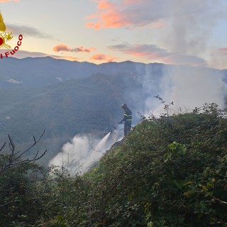 Emergenza incendi, Coldiretti Liguria: "Boschi sempre più vulnerabili, servono prevenzione, gestione e responsabilità”