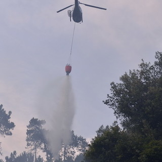 Vasia: incendio boschivo in atto, sul posto Vigili del Fuoco, volontari e un elicottero