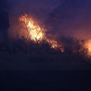 Ventimiglia: ancora incendi in questa calda estate, fuoco sul lungo Roya vicino al 'Sirena', intervento dei Vvf Ventimiglia: ancora incendi in questa calda estate, fuoco sul lungo Roya vicino al 'Sirena', intervento dei Vvf