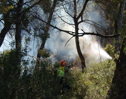 Incendi boschivi. stato di grave pericolosità ancora attivo nella provincia di Imperia