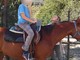 Imperia: giornata conclusiva della stagione di Ippoterapia al Ranch di Montegrazie domani dalle 10.30