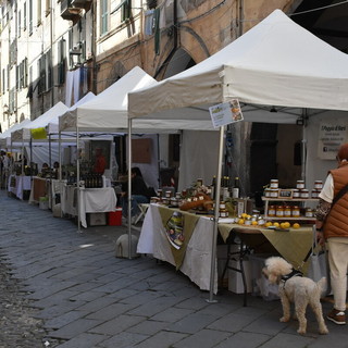 Menifestazione 'Meditaggiasca &amp; Expo Valle Argentina Armea' a Taggia