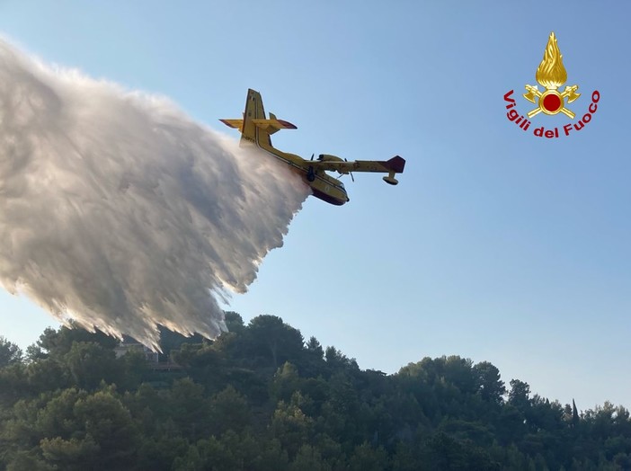 Incendio boschivo tra Colle d'Oggi e San Bernardo di Conio: intervento di Vvf, elicottero e Canadair