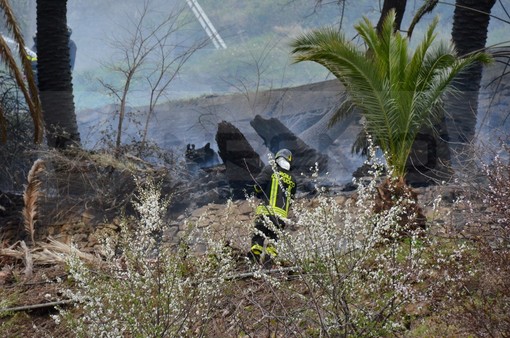 Bordighera: secondo incendio ad un palmeto in pochi giorni vicino al cimitero dell'Arziglia Bordighera: secondo incendio ad un palmeto in pochi giorni vicino al cimitero dell'Arziglia