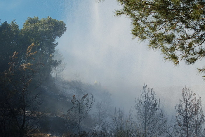 Camporosso: spento l'incendio di Ciaixe, iniziate le operazioni di bonifica ed il presidio dell'area Camporosso: spento l'incendio di Ciaixe, iniziate le operazioni di bonifica ed il presidio dell'area