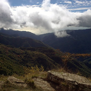 Il bosco delle Fate: domenica prossima un itinerario suggestivo, dalla faggeta alla radura alpina Il bosco delle Fate: domenica prossima un itinerario suggestivo, dalla faggeta alla radura alpina