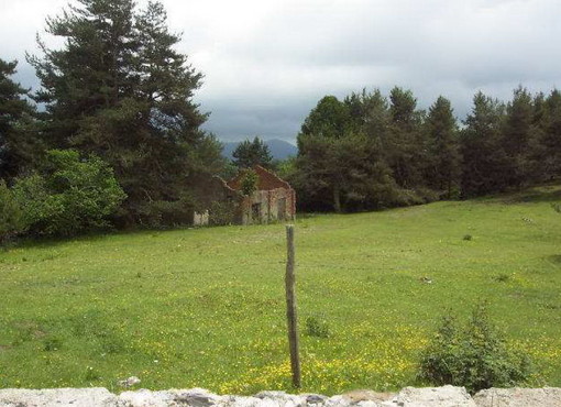Triora: il 7 giugno scade l'asta per l'aggiudicazione di un'area e un immobile a colle Melosa Triora: il 7 giugno scade l'asta per l'aggiudicazione di un'area e un immobile a colle Melosa