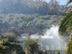 Bordighera: incendio di sterpaglie tra il cimitero ed il 'Beodo', intervento dei Vigili del Fuoco (Foto e Video)