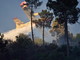 Canadair da Genova, Olbia e Ciampino per spegnere l'incendio sul Faudo: bruciati 30 ettari di bosco e pascolo Canadair da Genova, Olbia e Ciampino per spegnere l'incendio sul Faudo: bruciati 30 ettari di bosco e pascolo