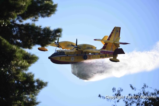 Olivetta San Michele: si è allargato l'incendio in montagna, arrivano gli elicotteri ed il Canadair
