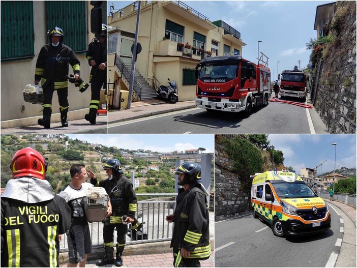 Le immagini dal luogo dell'incendio
