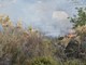 Ceriana, scatta il divieto assoluto di accendere fuochi dal 20 giugno: ordinanza urgente del sindaco contro gli incendi Ceriana, scatta il divieto assoluto di accendere fuochi dal 20 giugno: ordinanza urgente del sindaco contro gli incendi