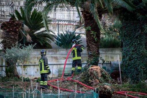 Sanremo: incendio sfugge di mano in una campagna di via Lamarmora, intervento dei Vigili del Fuoco (Foto)