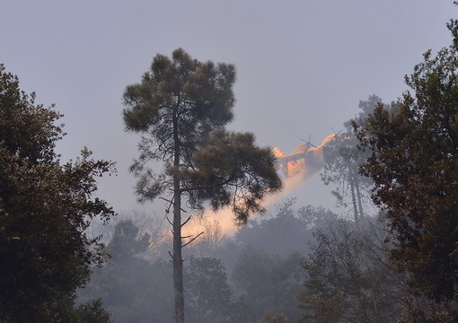 Villanova D'Albenga: sabato prossimo la firma del protocollo d'intesa sulla prevenzione degli incendi boschivi