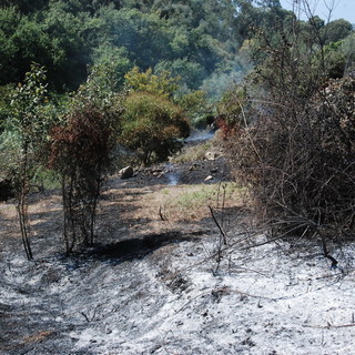 Ventimiglia: piccolo incendio di sterpaglie, questa mattina poco prima di mezzogiorno in località San Rocco Ventimiglia: piccolo incendio di sterpaglie, questa mattina poco prima di mezzogiorno in località San Rocco