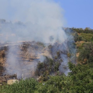 Prelà: piccolo incendio boschivo nel primo pomeriggio di oggi in un oliveto, intervento dei Vigili del Fuoco Prelà: piccolo incendio boschivo nel primo pomeriggio di oggi in un oliveto, intervento dei Vigili del Fuoco