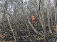 Incendi, Simonetti e Casella (AVS): "Ripristinare il divieto di accendere fuochi nel ponente ligure"
