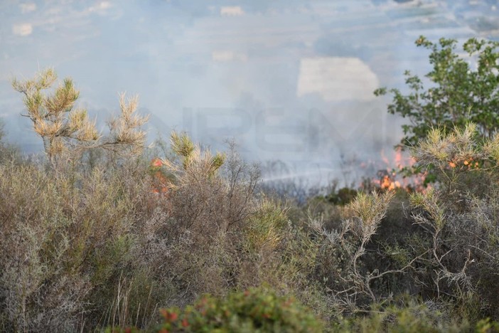 Ceriana, scatta il divieto assoluto di accendere fuochi dal 20 giugno: ordinanza urgente del sindaco contro gli incendi Ceriana, scatta il divieto assoluto di accendere fuochi dal 20 giugno: ordinanza urgente del sindaco contro gli incendi