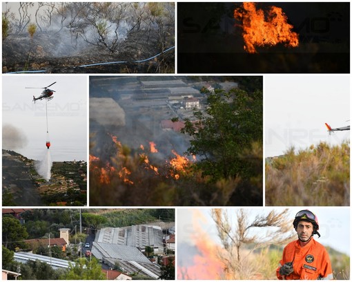 Sanremo: incendio boschivo nella zona di strada Peiranze verso Verezzo, intervento dei Vigili del Fuoco (Foto e Video) Sanremo: incendio boschivo nella zona di strada Peiranze verso Verezzo, intervento dei Vigili del Fuoco (Foto e Video)
