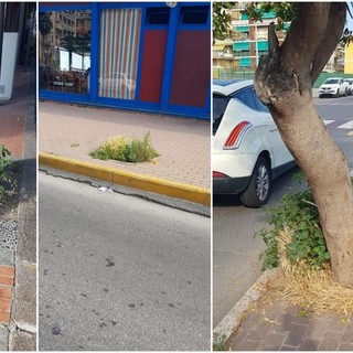 Ventimiglia, Scullino: "Ci sono tante cose da fare, bisogna iniziare dai piccoli interventi di manutenzione" (Foto)