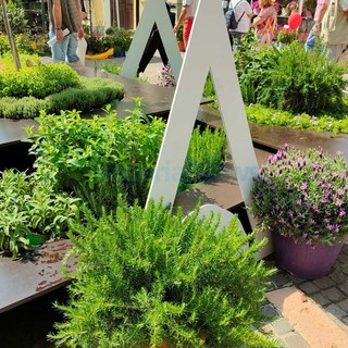 'Aromatica 2023' a Diano Marina