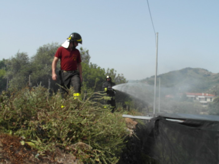 In fiamme terreno vicino alle abitazioni in via Sant’Anna a Camporosso, paura per i residenti In fiamme terreno vicino alle abitazioni in via Sant’Anna a Camporosso, paura per i residenti