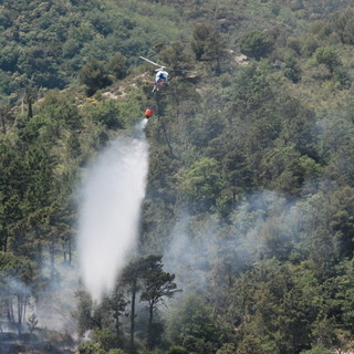 Incendio di sterpaglie nella zona di San Bernardo di Conio: intervento di Vvf e Cfs, in arrivo i mezzi aerei