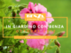 &quot;In giardino con Benza&quot;: su Sanremonews parte la rubrica con i consigli mensili dell'agronomo Enrico Leva