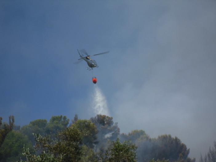 L'incendio in atto in questo momento L'incendio in atto in questo momento