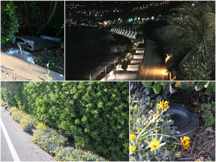 Sanremo: la ciclabile e l’illuminazione perduta tra fari rotti, rubati o sepolti dalla vegetazione (Foto)
