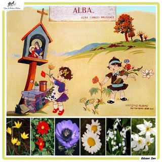 Bajardo: la mostra “I fiori di Rubino” di Alfredo Moreschi e Claudio Porchia dal 6 al 28 agosto Bajardo: la mostra “I fiori di Rubino” di Alfredo Moreschi e Claudio Porchia dal 6 al 28 agosto