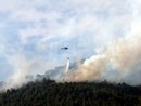 Sanremo: focolai nella zona dell'incendio di venerdì a Borello, tornano le squadre a terra e anche l'elicottero Sanremo: focolai nella zona dell'incendio di venerdì a Borello, tornano le squadre a terra e anche l'elicottero