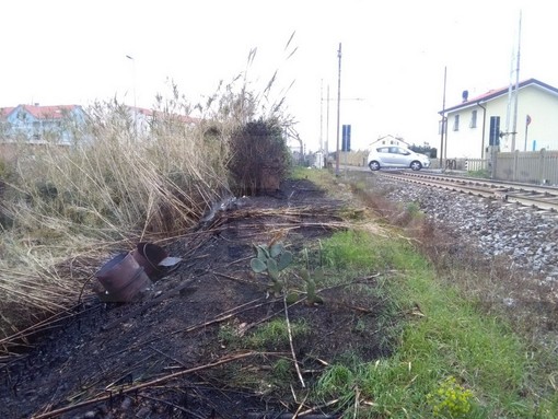 Albenga: incendio di un canneto vicino alla ferrovia, 40 minuti di stop per i treni e disagi anche nell'imperiese (Foto) Albenga: incendio di un canneto vicino alla ferrovia, 40 minuti di stop per i treni e disagi anche nell'imperiese (Foto)