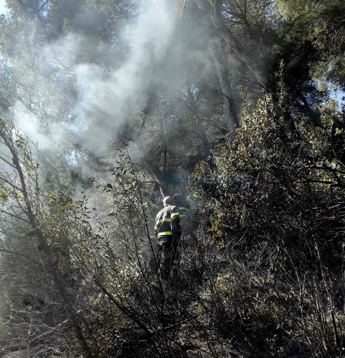 Le immagini dal luogo dell'incendio Le immagini dal luogo dell'incendio