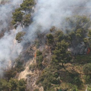 Incendio boschivo a Saorge: almeno 10 ettari bruciati e quattro mezzi aerei impiegati Incendio boschivo a Saorge: almeno 10 ettari bruciati e quattro mezzi aerei impiegati