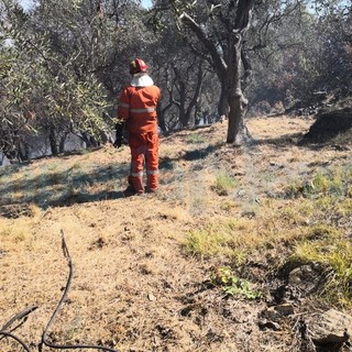 Ospedaletti: incendio di sterpaglie in strada Noci, pronto intervento dei Vigili del Fuoco di Sanremo