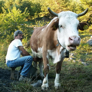 Ormea: pastori, custodi del nostro territorio, una giornata dedicata al pascolo gestito, tassello dell’ecologia e dell’economia locale