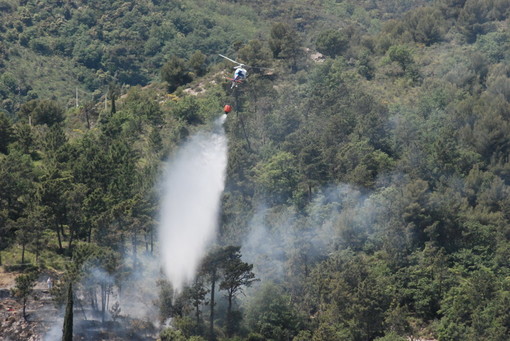 Incendio di sterpaglie nella zona di San Bernardo di Conio: intervento di Vvf e Cfs, in arrivo i mezzi aerei