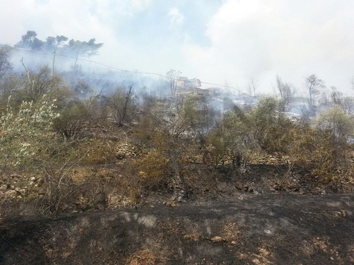 Perinaldo: peggiora l'incendio in località Massabò, 5 mezzi aerei sul posto ed alcune abitazioni evacuate Perinaldo: peggiora l'incendio in località Massabò, 5 mezzi aerei sul posto ed alcune abitazioni evacuate