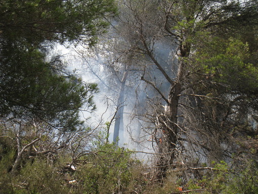Le prime foto dal luogo dell'incendio Le prime foto dal luogo dell'incendio