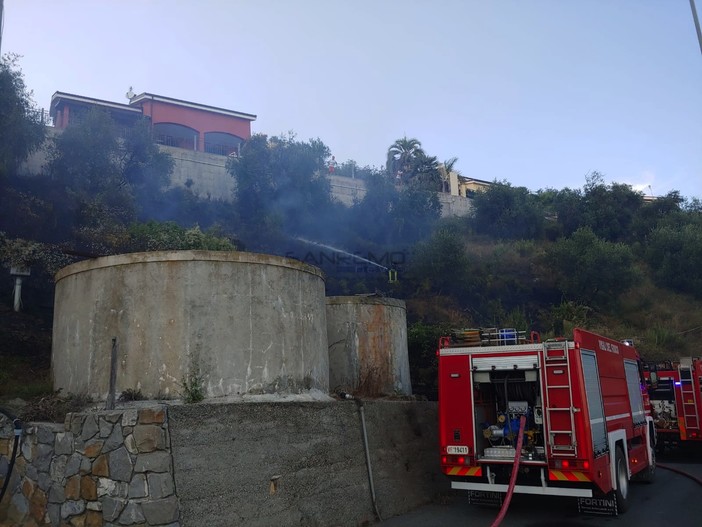 Le immagini da strada degli Olandesi