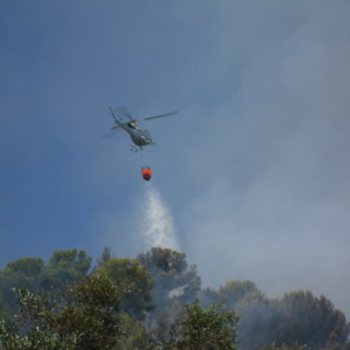 Camporosso: domato il vasto incendio vicino alle abitazioni in zona Rio San Seburin, area bonificata