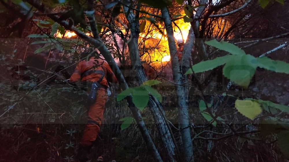 Incendi boschivi, una lettrice di Diano Marina: «Troppo frettolosa la cessazione dello stato di grave pericolosità in tutta la Liguria» Incendi boschivi, una lettrice di Diano Marina: «Troppo frettolosa la cessazione dello stato di grave pericolosità in tutta la Liguria»
